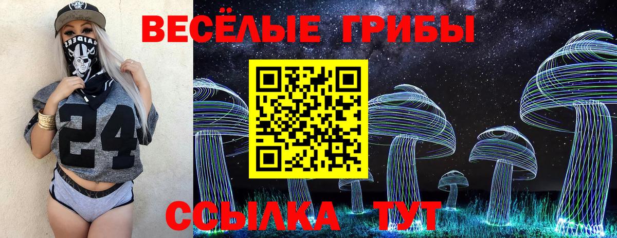 Вязьма  Псилоцибиновые грибы мухоморы  купить наркотики цена  Вход с VPN 